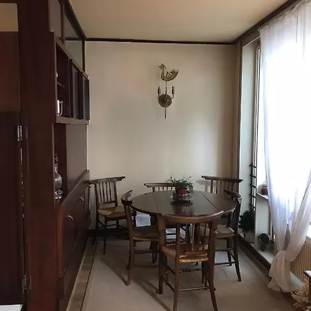 A Typical Parisian Flat For All Parisien Lovers/business דירה פריז