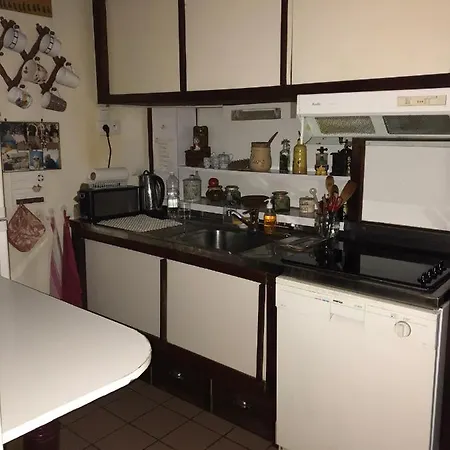 A Typical Parisian Flat For All Parisien Lovers/business דירה